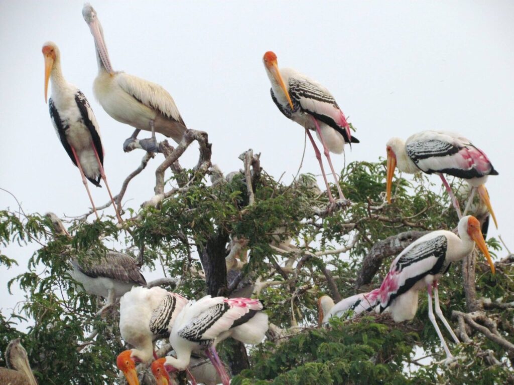  Best Places to Visit in Srikakulam